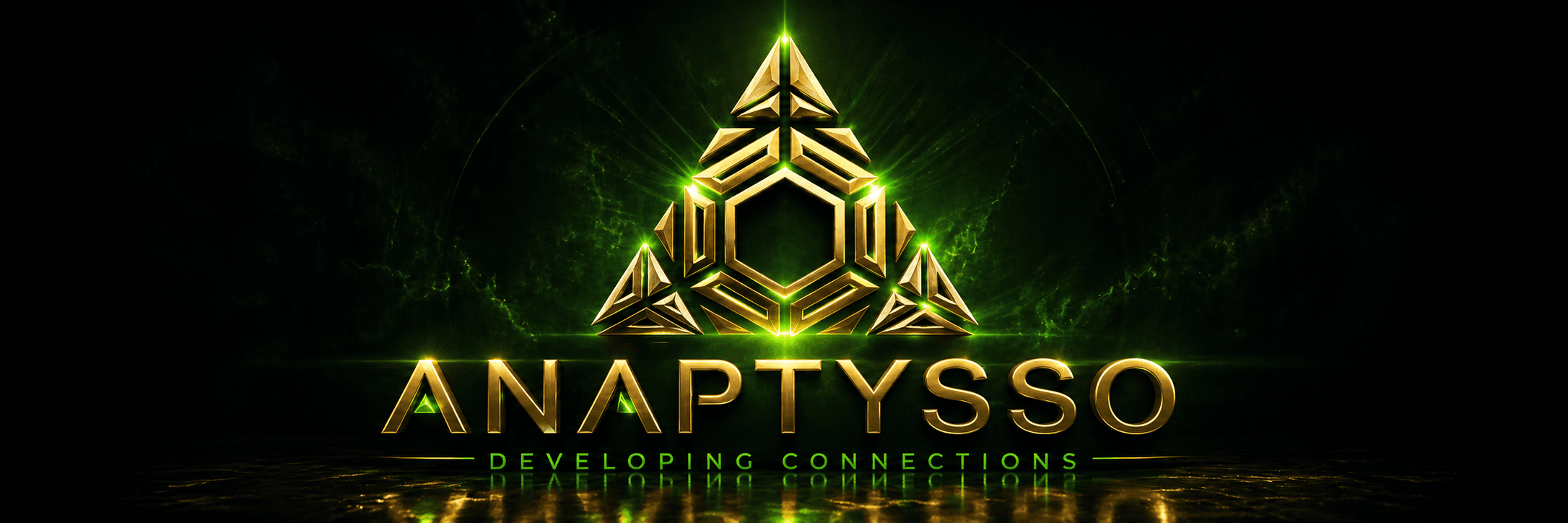 Enhanced Anaptysso logo portfolio presentation
